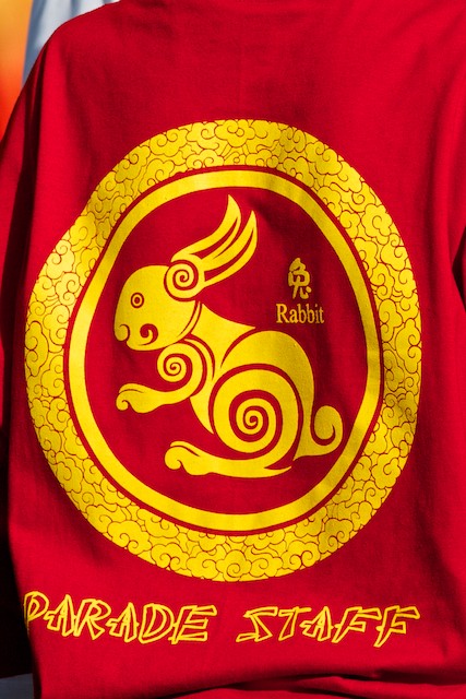 Welcome to the year of the Rabbit.