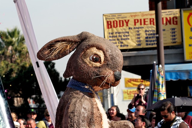 2011 marks the year of the Rabbit.