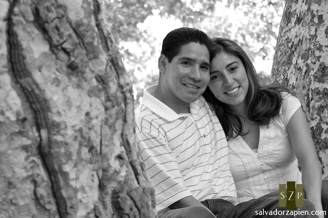 engagement engagement